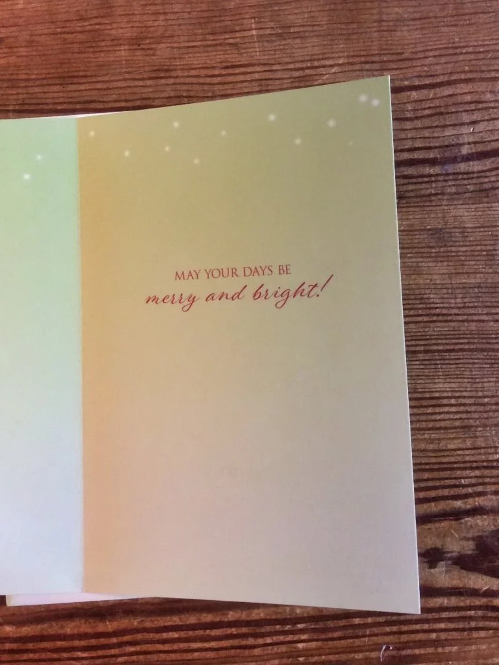 Set of 6 Elegant Floral Christmas Cards w/ Envelopes Merry & Bright